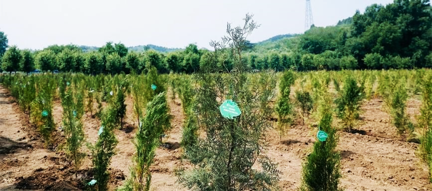 image4.png image4.png