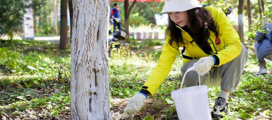 image6.jpeg image6.jpeg